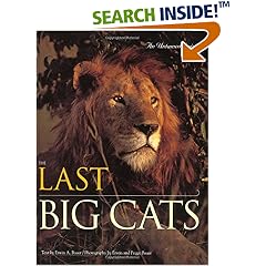 world cats book