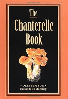 chanterelle