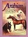 Arabian Horse Book : Arabian Legends: Outstanding Arabian Stallions and Mares