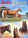 Quarter Horse Book : Legends, Volume 4 : Outstanding Quarter Horse Stallions and Mares (Legends)