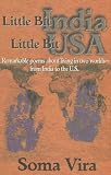Little Bit India - Little Bit U.S.A.: Poems from East and West