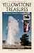 Yellowstone Treasures: The Traveler's Companion to the National Park by Janet Chapple