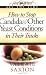 How to Stop Candida & Other Yeast Conditions in Their Tracks by Valerie Saxion