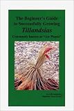 The Beginners Guide to Successfully Growing Tillandsias: Commonly Known as "Air Plants"