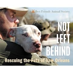 Not Left Behind (hardback)