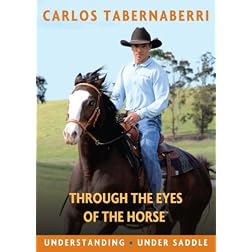 Understanding - Under Saddle