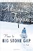Home to Big Stone Gap: A Novel