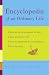 Amy Krouse Rosenthal : Encyclopedia of an Ordinary Life