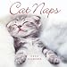 Cat Calendar : Cat Naps 2006 Calendar