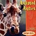 Ranger Rick Animals Antics, 2007 Calendar by Ranger Rick