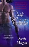 Dark Protector (Paladins of Darkness, Book 1)