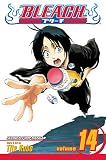 Bleach 14 (Bleach (Graphic Novels))
