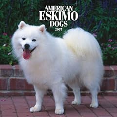 American Eskimo Dogs 2007 Calendar