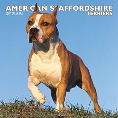 American Staffordshire Terriers 2007 Calendar