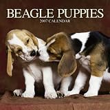 Labradoodle Puppies 2007 Mini Calendar
