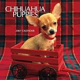Chihuahua Puppies 2007 Mini Calendar