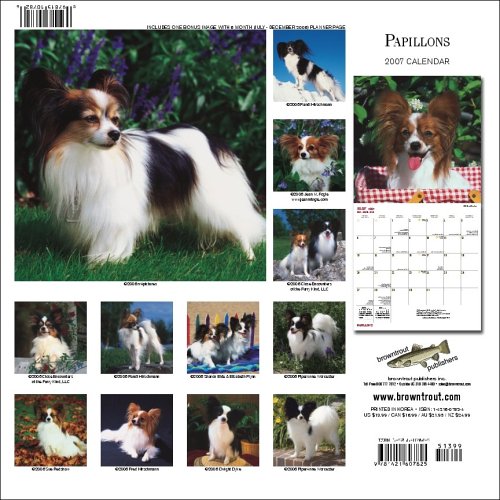 Papillons 2007 Calendar