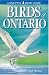 Birds of Ontario by Andy Bezener