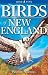 Roger Burrows: Birds of New England