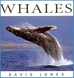 Whales (Wildlife (Whitecap))