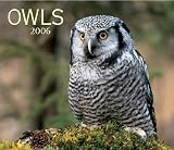 Owls 2006