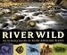 Nancy F. Castaldo: River Wild:  An Activity Guide to North American Rivers