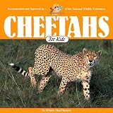 Cheetahs for Kids