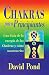 chakras para principiantes