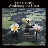 Pema Chodrons Awakening the Heart 2007 Calendar