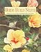 Yvonne Winer: Birds Build Nests