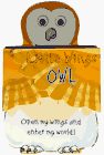 Owl: Open My Wings and Enter My World (Little Wings)