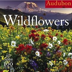 Audubon Wildflowers Calendar 2007