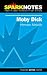 Spark Notes Moby-Dick (Spark Notes)