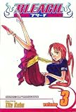 Bleach 3: Memories in the Rain (Bleach (Graphic Novels))