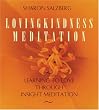 Within your own heart is a limitless source of supreme energy - the energy of love. No other force in the universe compares to it. The world's great spiritual traditions, both past and present, agree on this simple principle. Can love be harnessed and applied to others - used as a tool for changing lives?