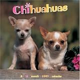 Chihuahuas 2007 Wall Calendar