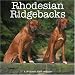 Rhodesian Ridgebacks 2007 Wall Calendar by Magnum