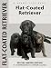 John Wakefield: Flat-Coated Retriever (Comprehensive Owners Guide)