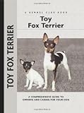 Toy Fox Terrier Click!