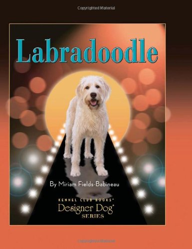 Labradoodle (Designer Dog) (Designer Dog)