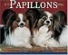 Papillon : Just Papillons 2006 16-Month Wall Calendar