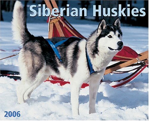 Just Siberian Huskies 2006 16-Month Wall Calendar