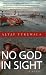 No God In Sight