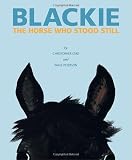 Blackie, The Horse Who Stood Still