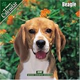 Labradoodle 2007 Wall Calendar