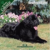 Newfoundland 2007 Wall Calendar