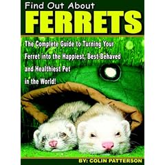 Pet Ferrets
