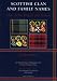 Scottish Clan and Family Names: Their Arms, Origins and Tartans by Roddy Martine