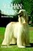 afghan hound : Afghan Hounds (World of Dogs)