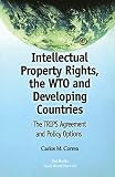 Intellectual Property Rights, the WTO and Developing Countries: The TRIPS Agreement and Policy Options